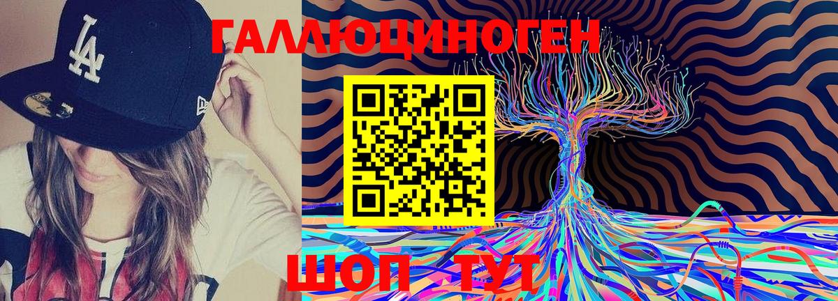 Галлюциногенные грибы Psilocybine cubensis Камышин