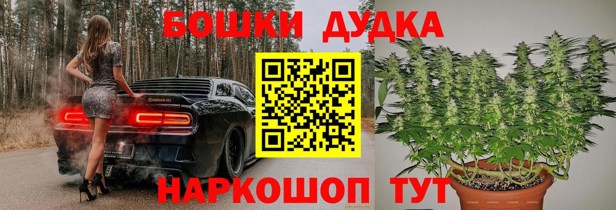 Каннабис гибрид Камышин
