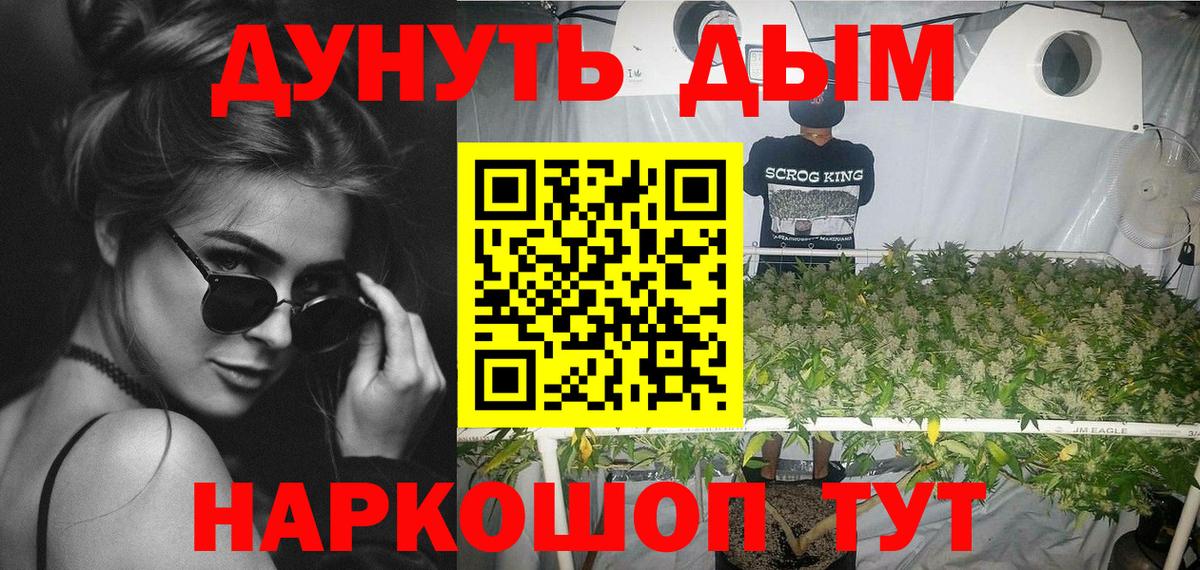 Камышин  Марихуана White Widow  Вход с VPN  Марихуана тримм  Бошки Шишки VHQ 